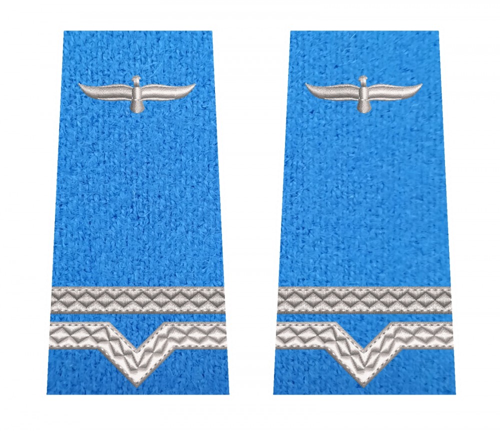 GRADE MAISTRU MILITAR CLASA 4 FORTE AERIENE